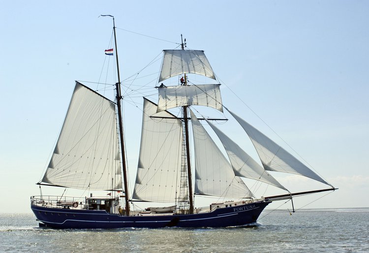 Fortuna Harlingen