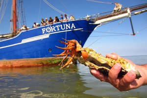 Zeilen met school naar het Wad of naar Amsterdam