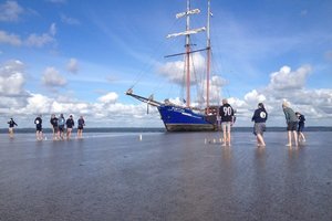 Zeilen met school naar het Wad of naar Amsterdam